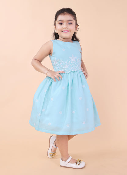 Blossom Charm Embroidered Frock